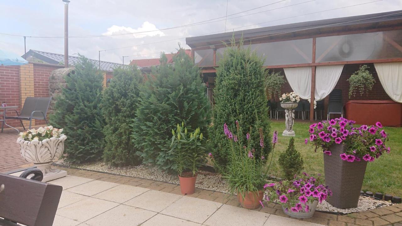 Letnia Willa Jacuzzi & Sauna Darlowo Bagian luar foto